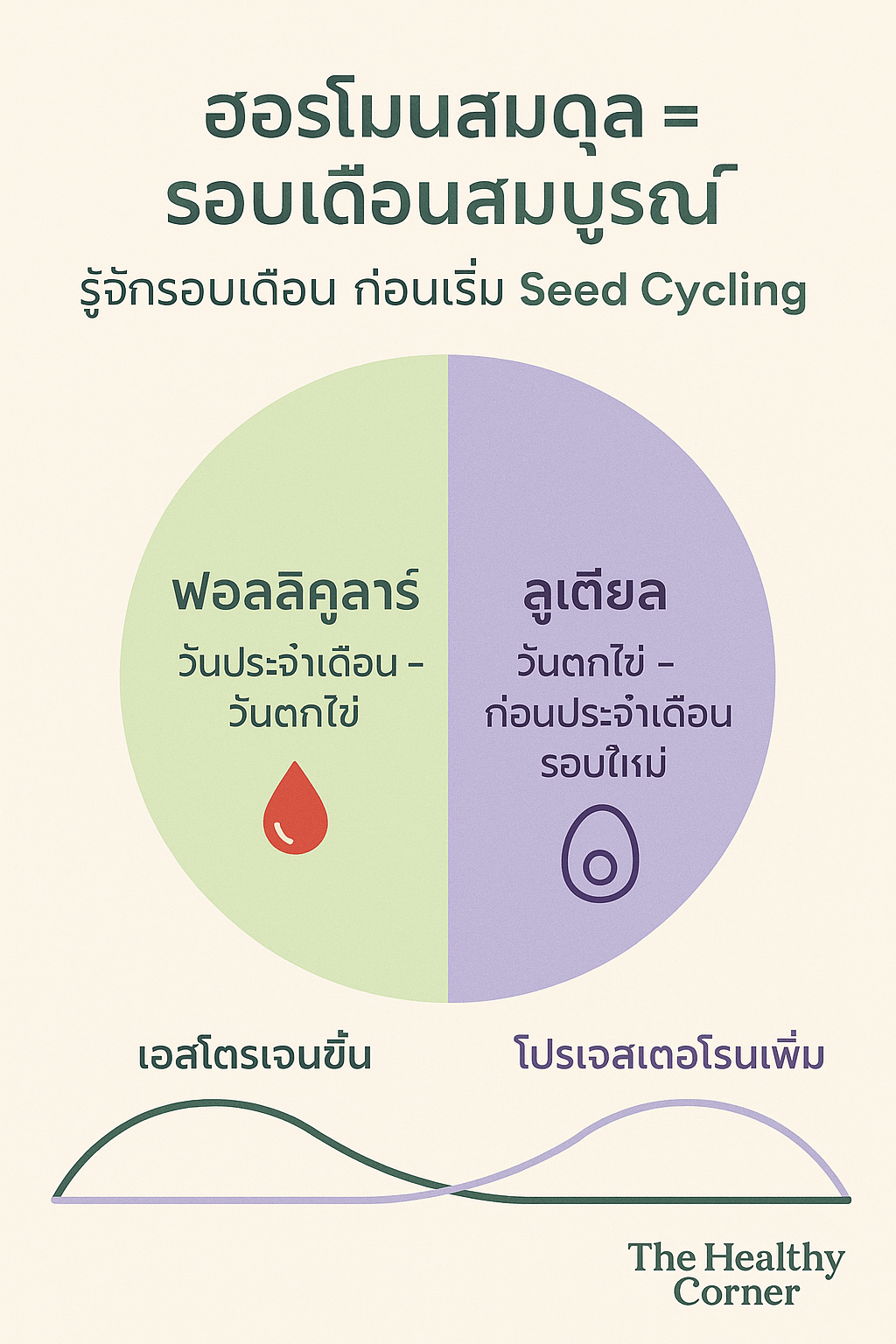 Seed Cycling Set ธัญพืชปั่น สมดุลฮอร์โมนผู้หญิง