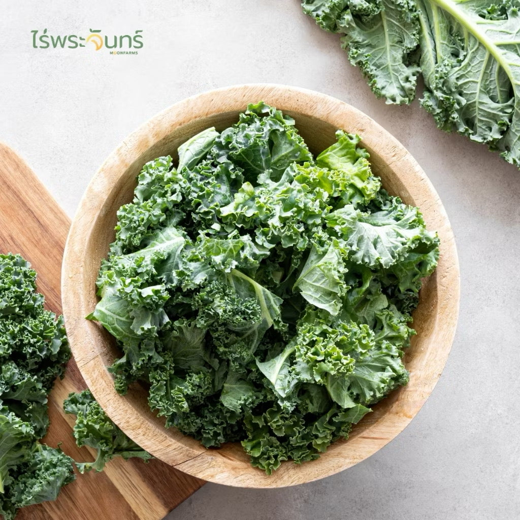 ผงผักเคล มีอย. แท้ ไม่ผสมแป้งและน้ำตาล แบรนด์ไร่พระจันทร์ ( Kale powder ผงผักแคล แคล เคล เคลผง ผักแคล ผักเคล ผักเคลผง )