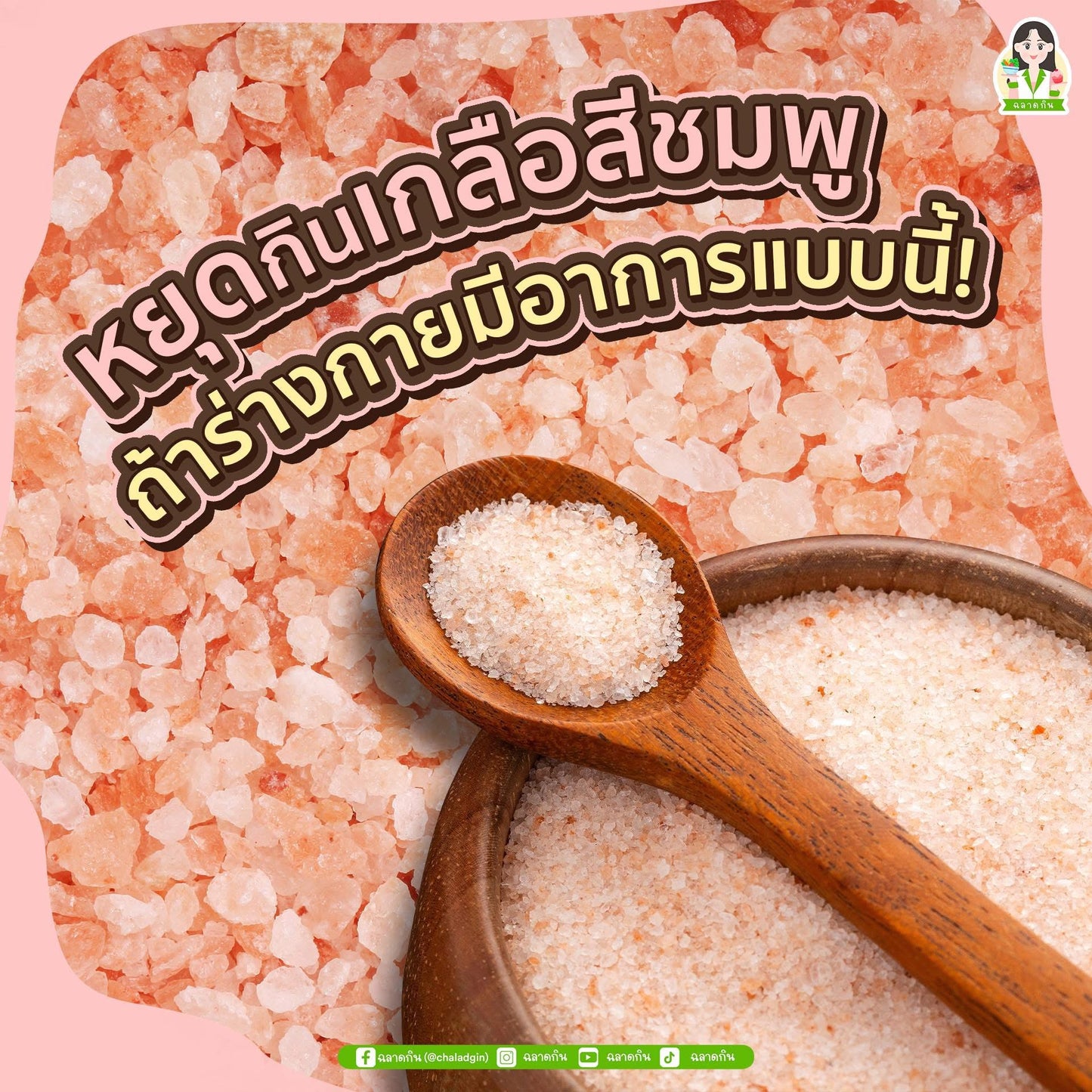 Himalayan Pink Salt Grinder เกลือหิมาลายันสีชมพูแบบบดสด 110g.