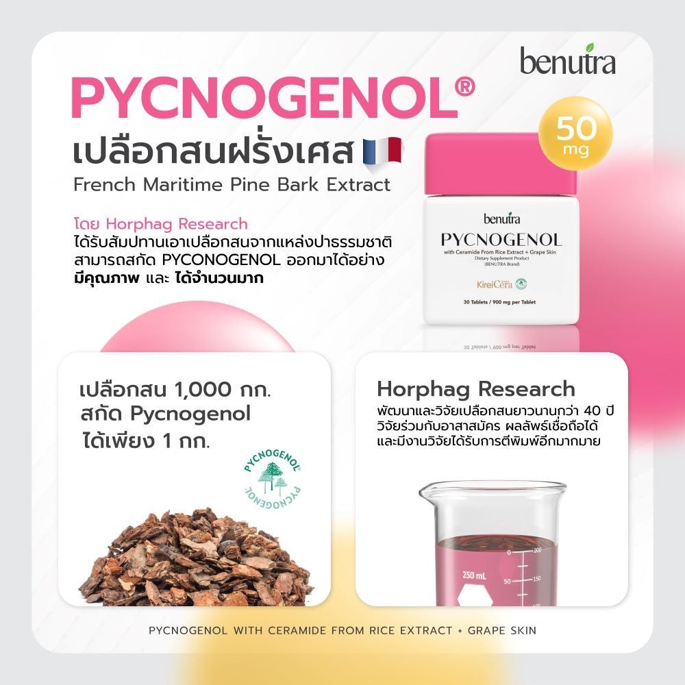 VB02Benutra Pycnogenol with Ceramide From Rice Extract + Grape Skin บีนูทร่า พิกโนจีนอล