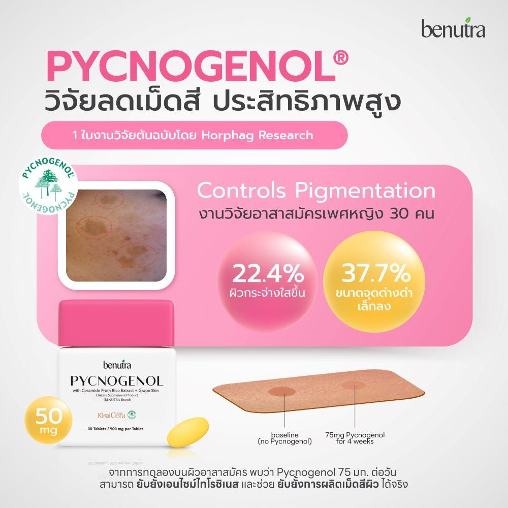 VB02Benutra Pycnogenol with Ceramide From Rice Extract + Grape Skin บีนูทร่า พิกโนจีนอล